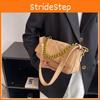 Elegant Quilted Chain Handbag For Women 2024 New Winter Small Shoulder Bag