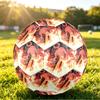 Size 5 Football Doors Pattern, Wear‑Resistant Soccer Ball for Match Training Daily Sports Play