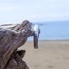 July Hawaiian Jewelry Ring, Men's and Women's Stainless Steel Ring, Surgical Stainless Steel, Unisex, Hypoallergenic, Can be worn all day, Silver, Siz