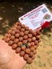 LAB CERTIFIED 108+1 Bead Indian Origin Rudraksha Mala 7 Mukhi 7 Faces (9-10 Mm Bead) Lord Shivas Rosary Jaap Mala Yoga Prayer Healing, Rare