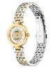 Park Silver Dial Two Tone Steel Strap Watch for Women - 14503643