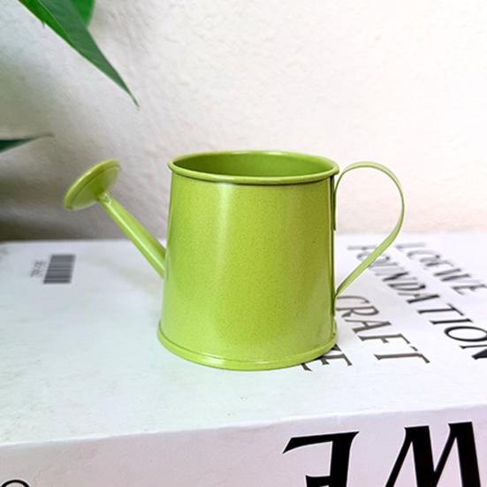 Mini Annaffiatoio Metallico Annaffiatoio Vintage con Beccuccio Lungo Piccolo Annaffiatoio per Piante da Interno Decorazione per la Casa