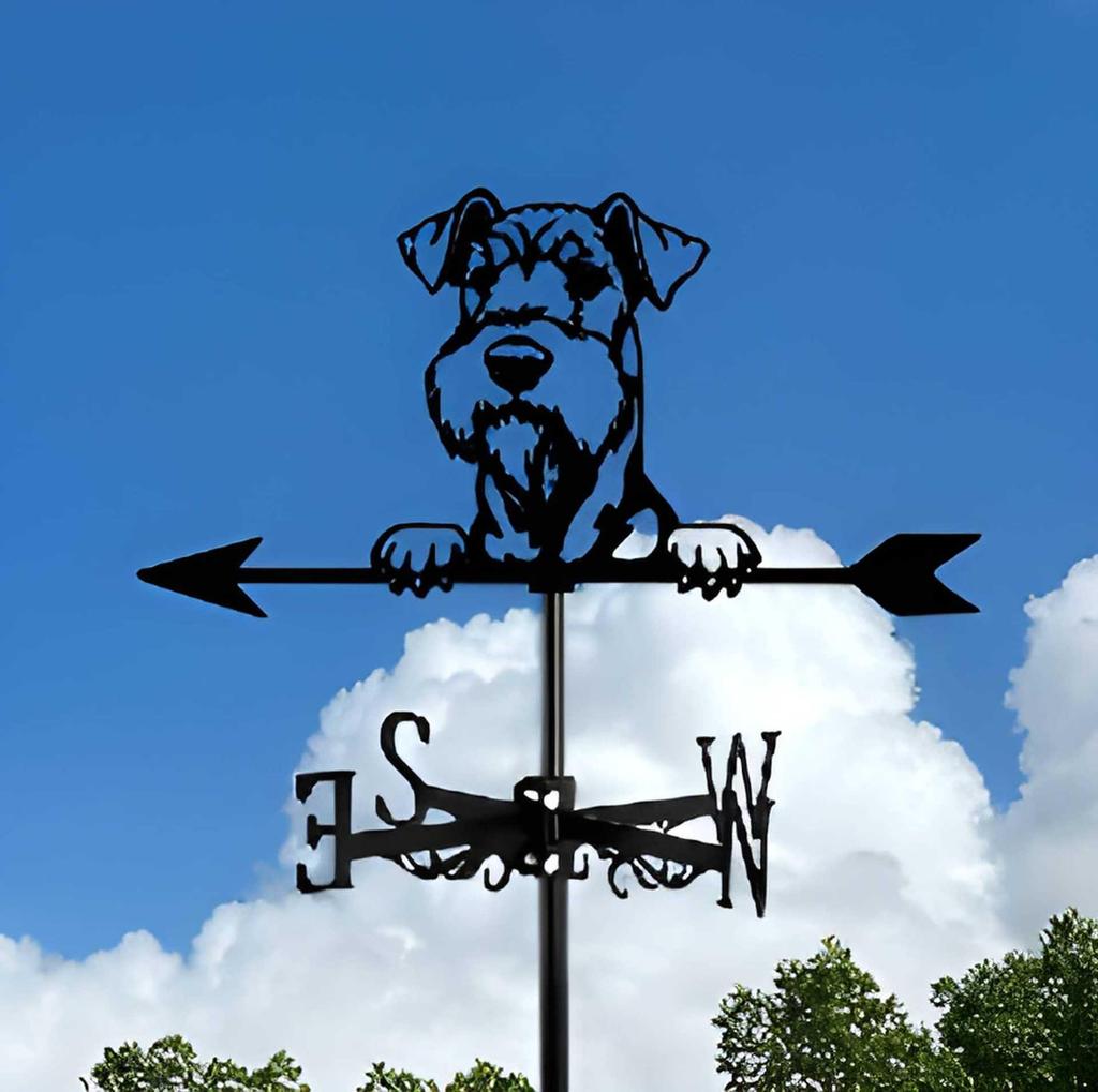 Decorative Iron Weather Vane - Outdoor Metal Roof Ornament