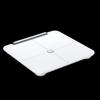 Smart Body Fat Scale 3 Pro (CN Version)