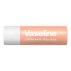 Bálsamo labial reparador