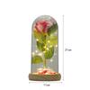 New Holiday Gift Eternal Flower Ornament Creative Glass Cover Rose Desktop Decorative Light Ornament