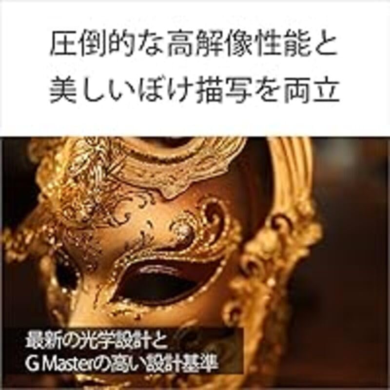 SONY FE 35mm GM G Master prime lens for digital SLR cameras SEL35F14GM F1.4 wide-angle full-frame (E-mount) (Genuine lens)