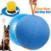 Herding Ball Interactively Dogs Outdoor Inflatable Ball Toy with Portable Handle Agility Training Equipment Pet Supplies 45/65cm