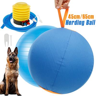Köpek – Köpek oyuncakları