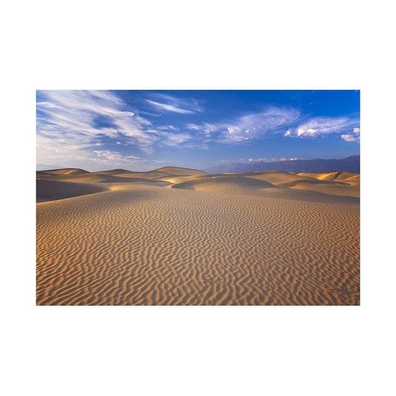 Desert Series Photography Background Natural Scenery Backdrop Photo Backdrop Studio Supplies Props Home Decor