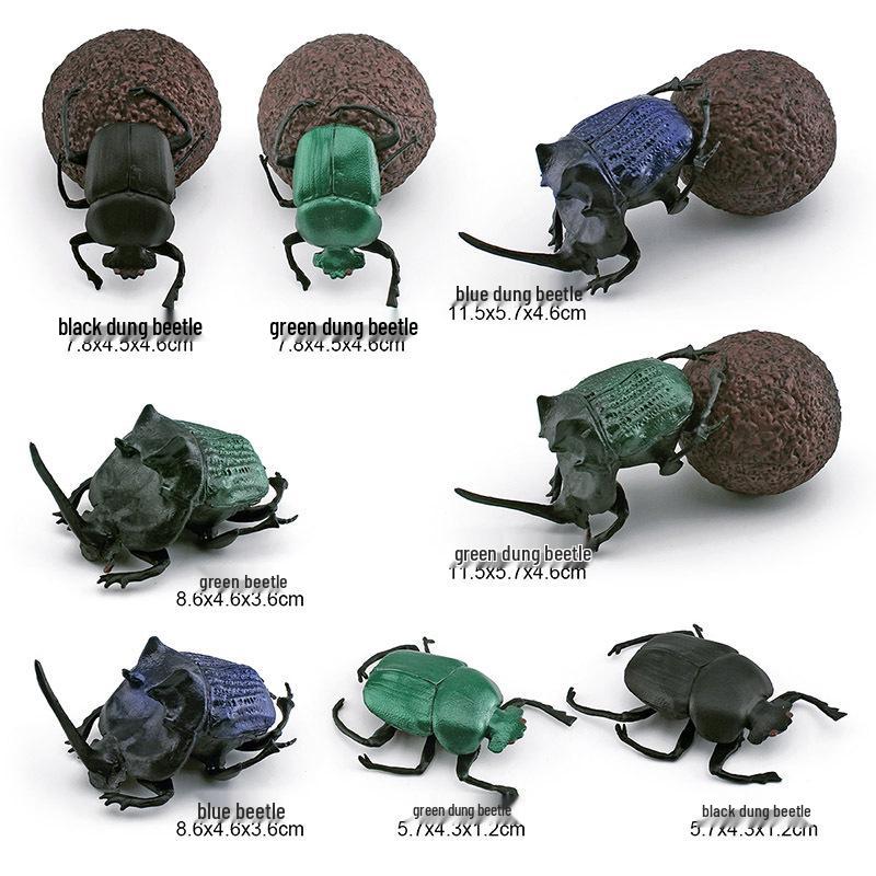 Cross-Border Insect Wildlife Model: Beetle & Scarab for Children's Science Education and Sand Table Decor