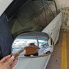 Chrome Rearview Car Accessories Plated Side Mirror Covers Trim 2009 2010 2011 2012 2013 2015 2016 For Toyota Sienna