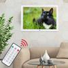 15.4" Multifunction 1280*800 Digital Photo Frame with Remote Controller (WhiteUS)