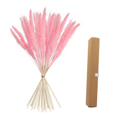 Getrocknetes Pampasgras Natur Schilf Trockenblumen Getrocknetes Pampasgras Blumenstrauß für Boho Wohndekor