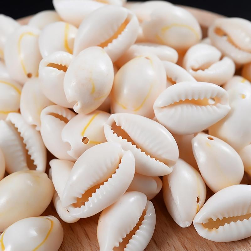 Pack of 100 Natural Seashells Charm Sea Shell Accessories for Handmade Bracelets and Necklaces Jewelry Components