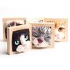 Handmade DIY Felt Toy Non-Finished Needle Felting Kits Easy for Beginners