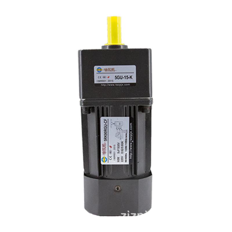 Single/Three-Phase Variable Speed Asynchronous Motor 6W-370W, 220V/380V Micro Gear Reducer