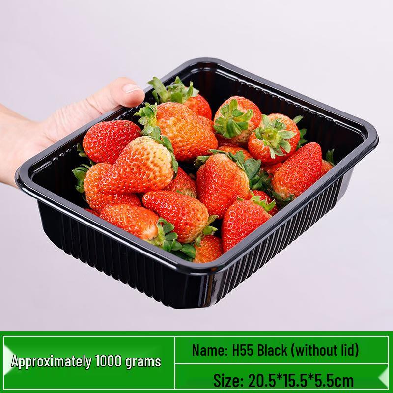 Disposable Transparent Rectangular Takeaway Containers (100-Pack)