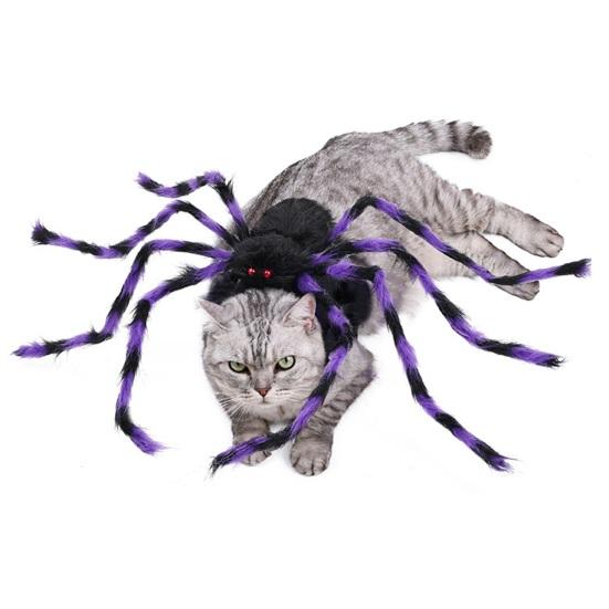 Halloweenský psí pavoučí kostým Plyšové zvířátko Oblečení na převlečení Nastavitelné kočičí cosplay oblečení na Halloween Narozeniny Oslavy Každodenní nošení