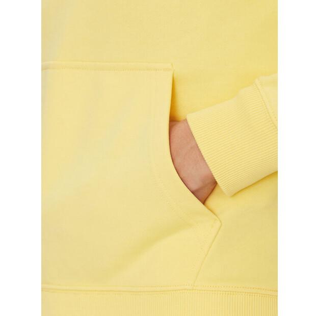 Худи Tommy Hilfiger Center Stack