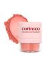 coringco macaron puff blusher (3 colors)