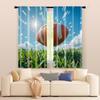 2 pcs   filtering curtains (excluding rods   non-movable   without batteries) Vigorous dolphins and football balls