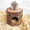 Maus Tunnel Spielzeug Bissfest Feuchtigkeitsbeständig Haustier Zubehör Natürliches Holz Hamster Maus Tunnel Röhre Spielzeug für Käfig