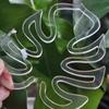 Clear Plastic Plant Stem Stabilizers Garden Stakes for Supporting Fragile Flowers Herbs Small Trees