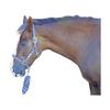 Hy Tartan Head Collar with Lead Rope