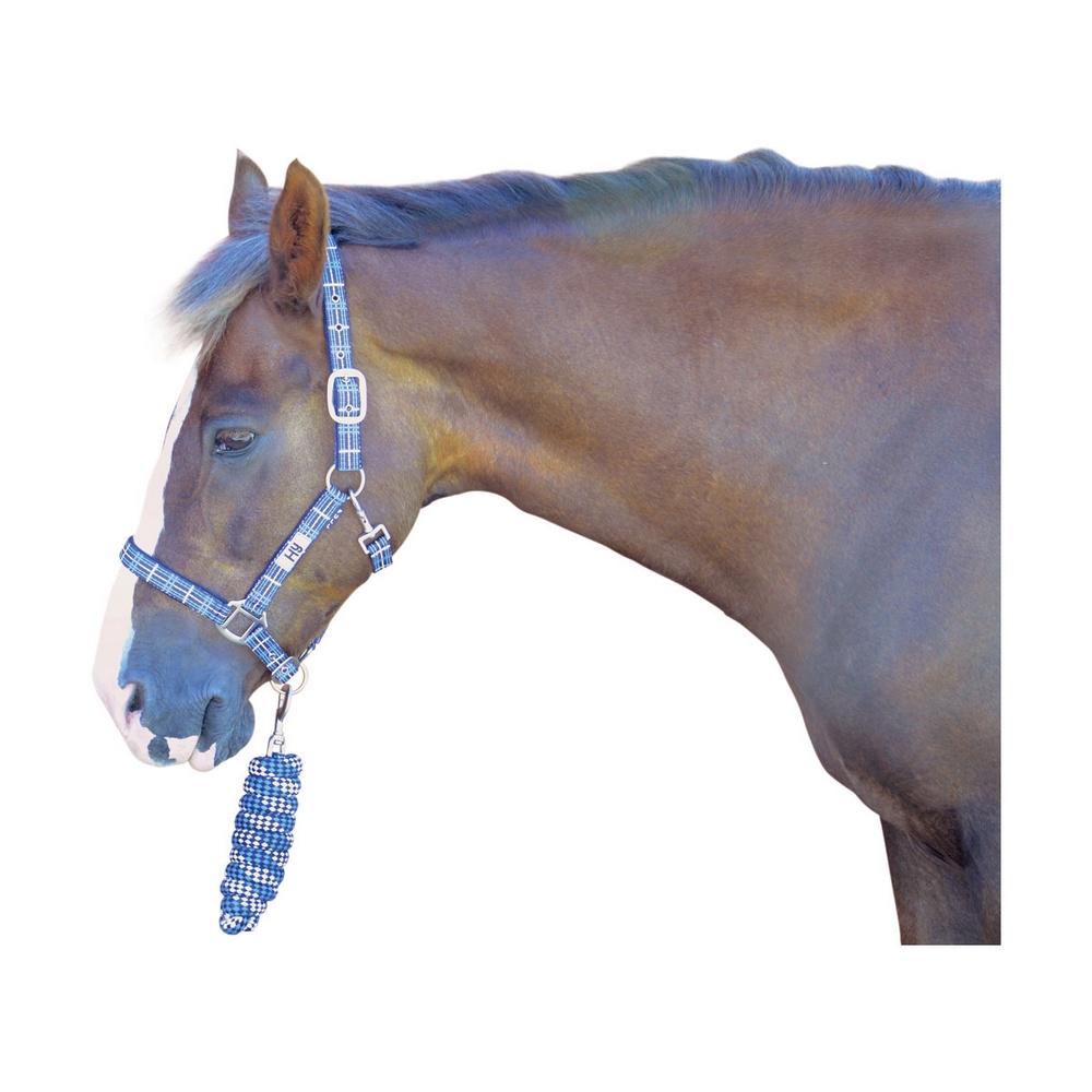 Hy Tartan Head Collar with Lead Rope