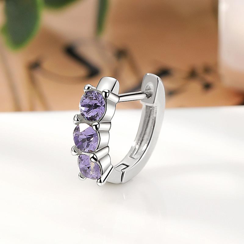 Exquisite Zircon Stud Earrings: Stylish Titanium Hoop with Micro-Paved Shiny Edge Design.