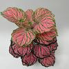 Large Pink Spotted Faux Potted Plant | Realistic Greenery for Home Decoration