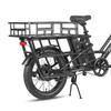 Fafrees FF20 CUV Electric Cargo Bike 250W with48V 12Ah Dual Batteries 20inch