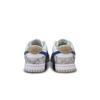 Nike Dunk Phantom Ruins Slip Resistant Slip Resistant Low Top Skateboard Shoes Unisex Gray Blue DD1503-103(Team141-)