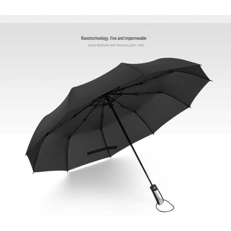 PALONY Automatic 10-Rib Folding Umbrella