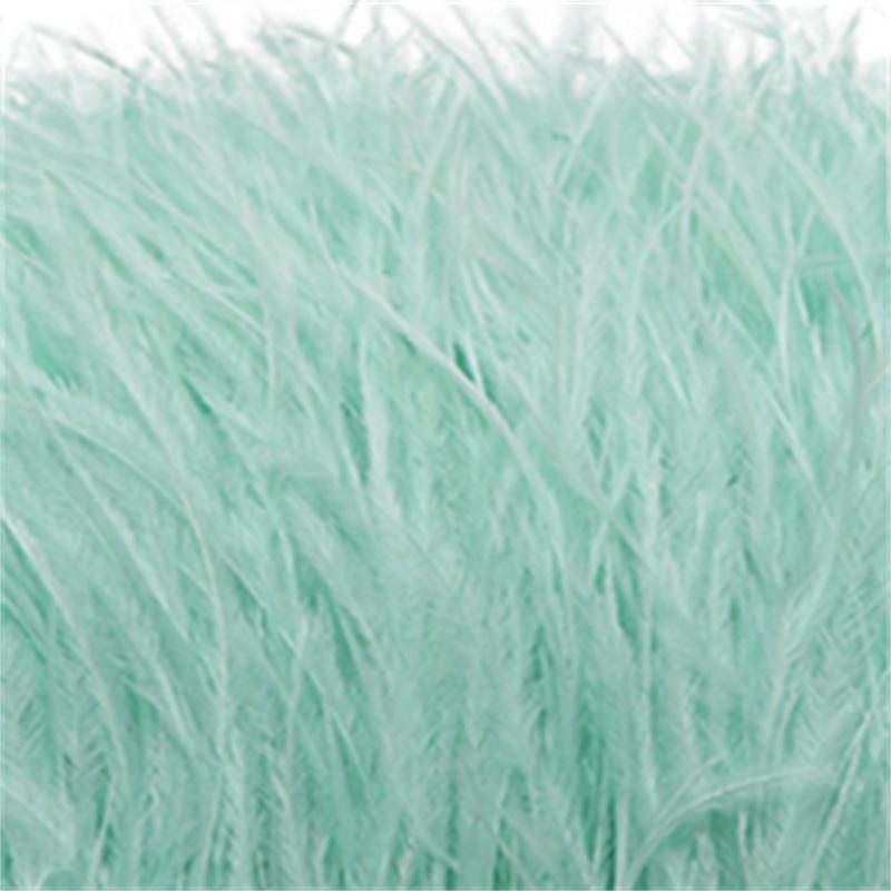 Feather1 Bundle Piume di Struzzo Naturali Filo Colorato 10-15/15-18CM Piumaggio Soffice Per Abiti Borsa Decorazione Artigianato Cucito