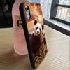 Pouzdro na mobil s vysokým rozlišením, roztomilá panda, pro iPhone 13 12 Mini 11 Pro Max XS Pevné pouzdro na mobilní telefon X XR SE 8 7 Plus 5 6 Cover