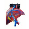 Realistic Heart Design Cosplay Costume Creativity Printed Jumpsuit Halloween Kids Costume  Party