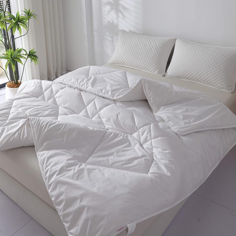MINISO Bordeaux Washable Wool Duvet