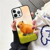 Cute Cartoon Capybara Phone Case For iPhone 17 Air 15 16 Cover  11 13 14 Pro Max 12 Plus Max Fundas