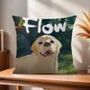 FFlow cute  Movie  Pillow Gifts Home Office Furnishings Bedroom Sofa Car Cushion Cover case xcm