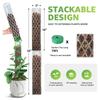 Fresh Plastic For Climbing Plants Moss Pole For Monstera 16 Inch Sphagnum Moss Support Indoor Plant Work