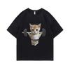Funny Gym Sam Sulek Cat Graphic Print T-shirts Men Women Cute Fitness Pump Cover Tshirt Woman Meme T Shirt Short Sleeve