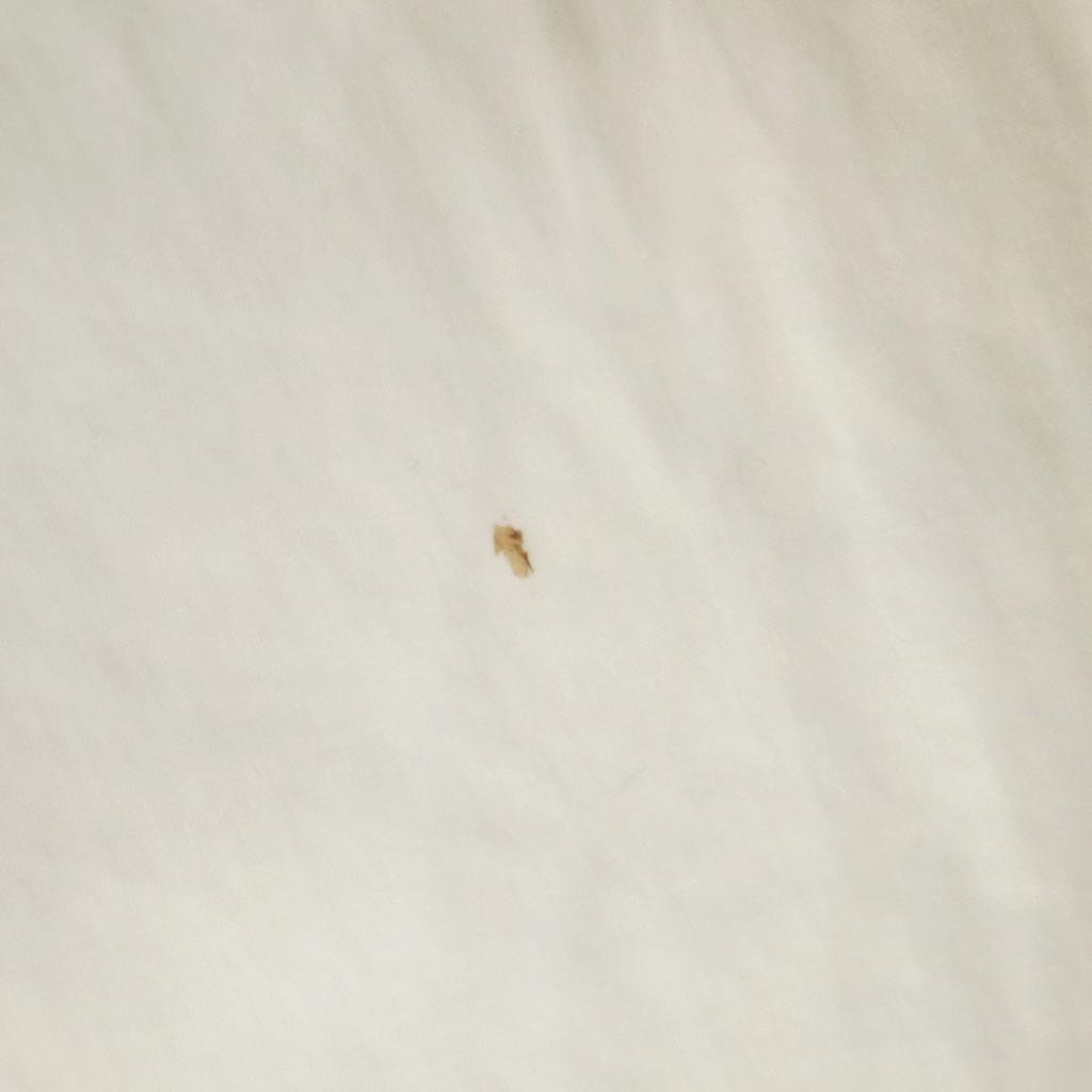 Nautica 90s Old Zip Jacket L White System Reversible Men's Used