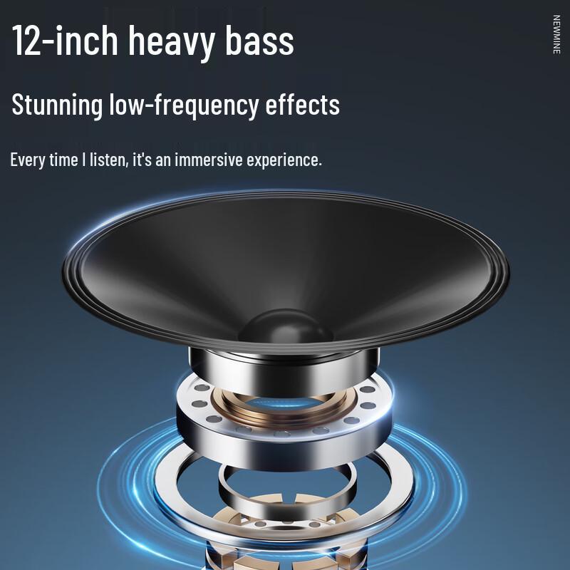 Newsmy N530 12-inch Portable Karaoke Trolley Speaker (CN Version)