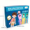 1pc wooden jigsaw puzzles,Human body structure cognition structure biology wood accessories,enlightenment, puzzle,learning
