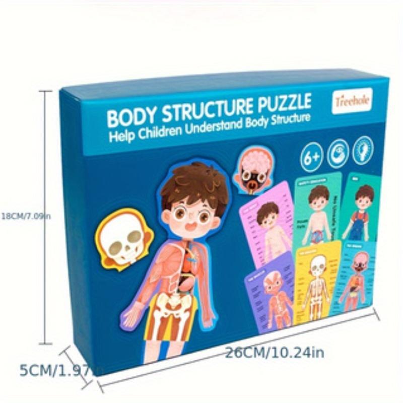 1pc wooden jigsaw puzzles,Human body structure cognition structure biology wood accessories,enlightenment, puzzle,learning
