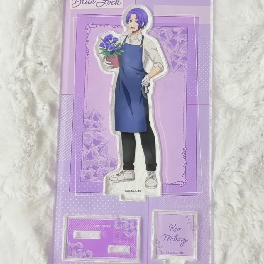 

Blue Rock Leo Flower Shop Acrylic Unsealed