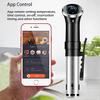 Sous Vide Cooker Low Temperature Slow Cooking Machine WIFI Version Vacuum Beef Thawing Machine Slow Cooking Stick