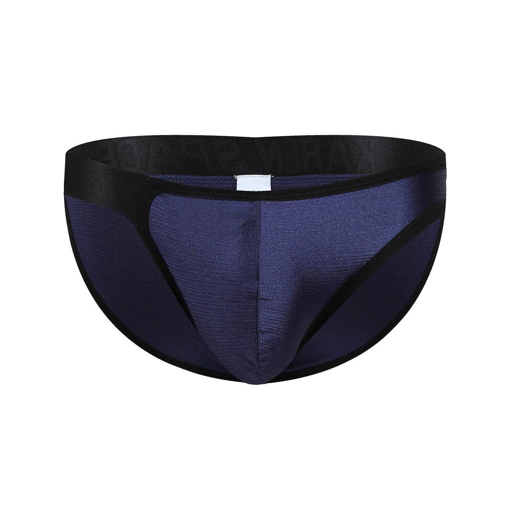 Men's Sexy Lingerie Briefs Men's Sexy Elastic Ice Silk Briefs Men's